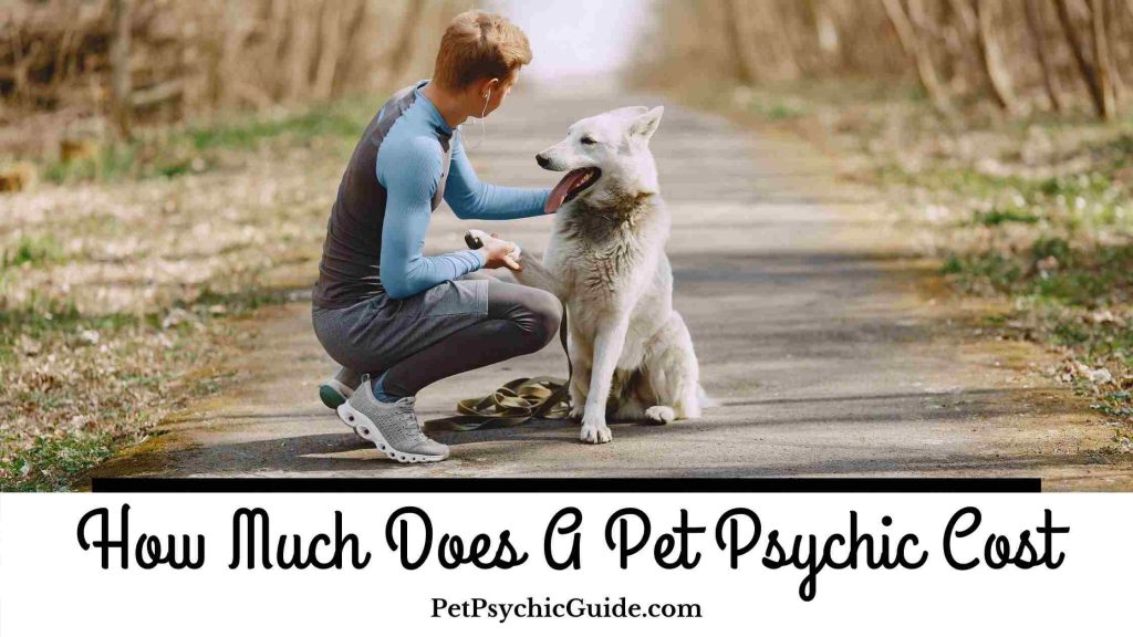 how much does a pet psychic cost