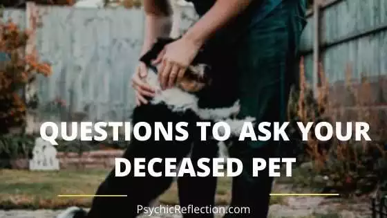 Questions To Ask Your Deceased Pet