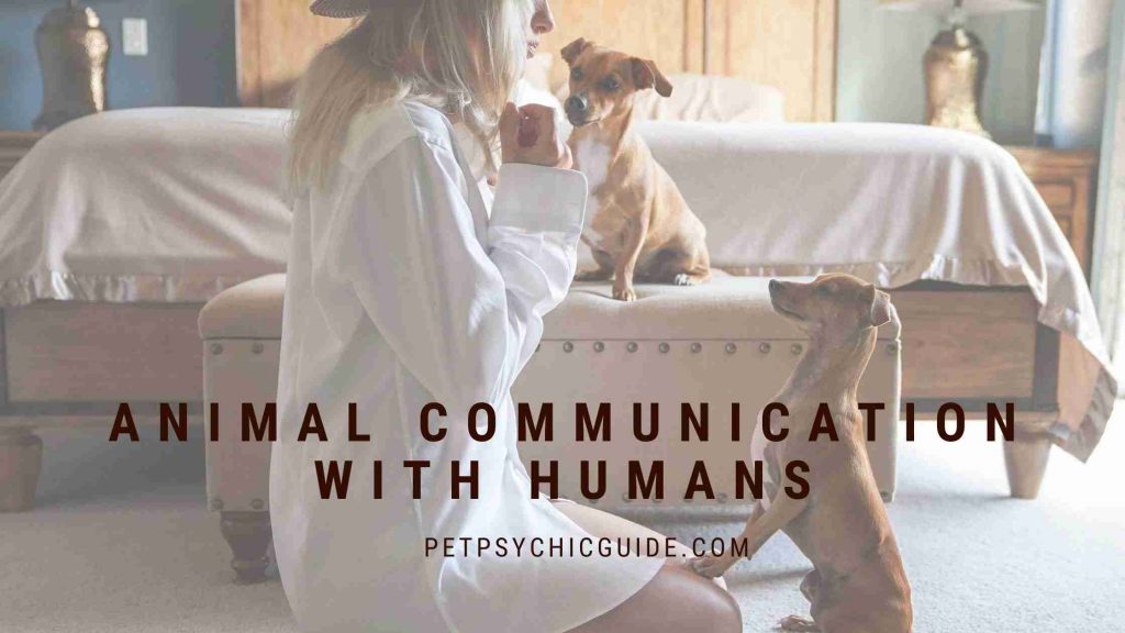 Animal Communication with humans