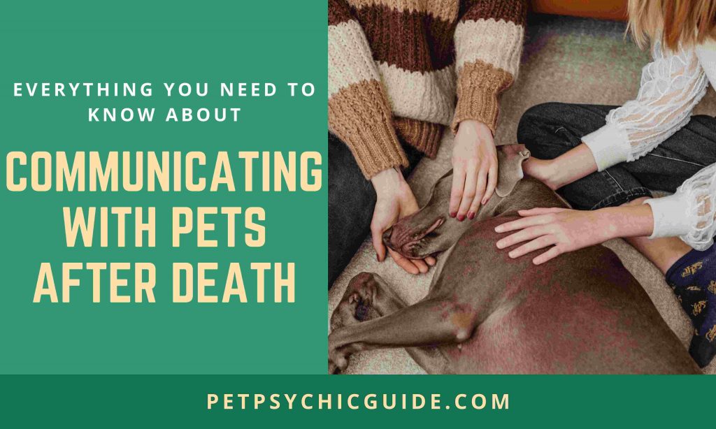 Communicating With Pets After Death