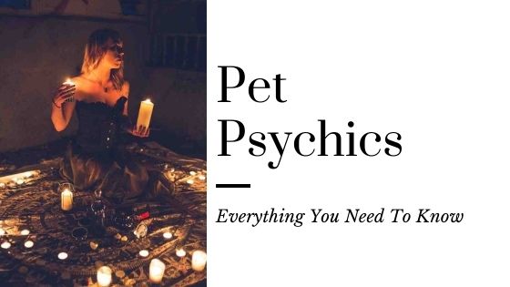 Pet Psychics