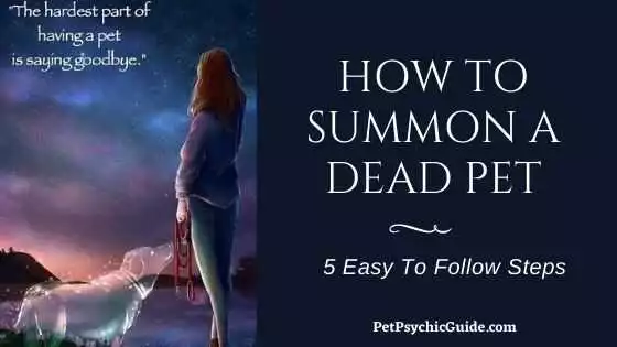 How To Summon A Dead Pet