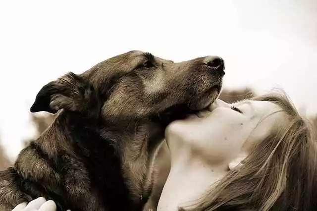 Women kissing her dog